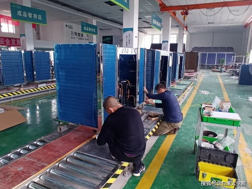 喜讯 热烈祝贺白果科技股份公司荣获 青海省2021年省级绿色工厂 称号